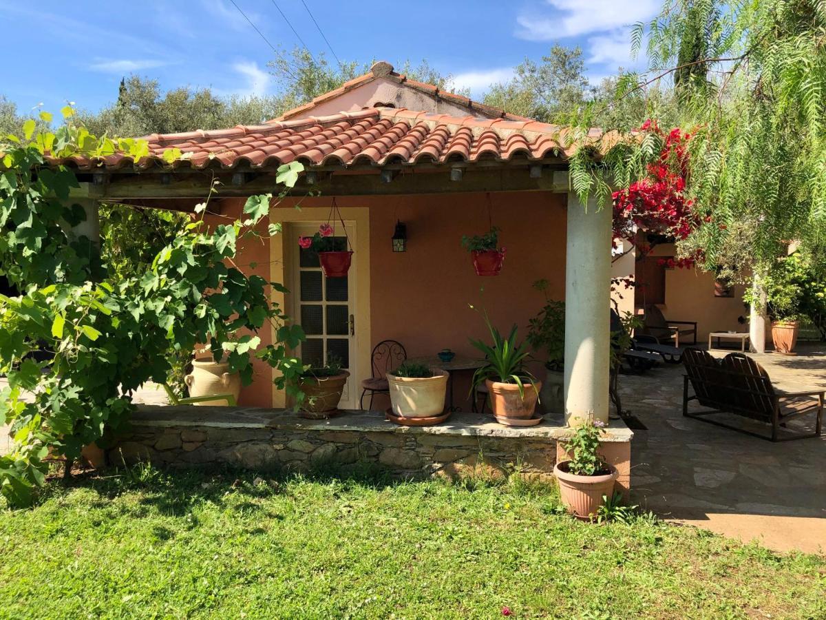 Sorbo-Ocagnano Domaine Le Clos Des Oliviers المظهر الخارجي الصورة