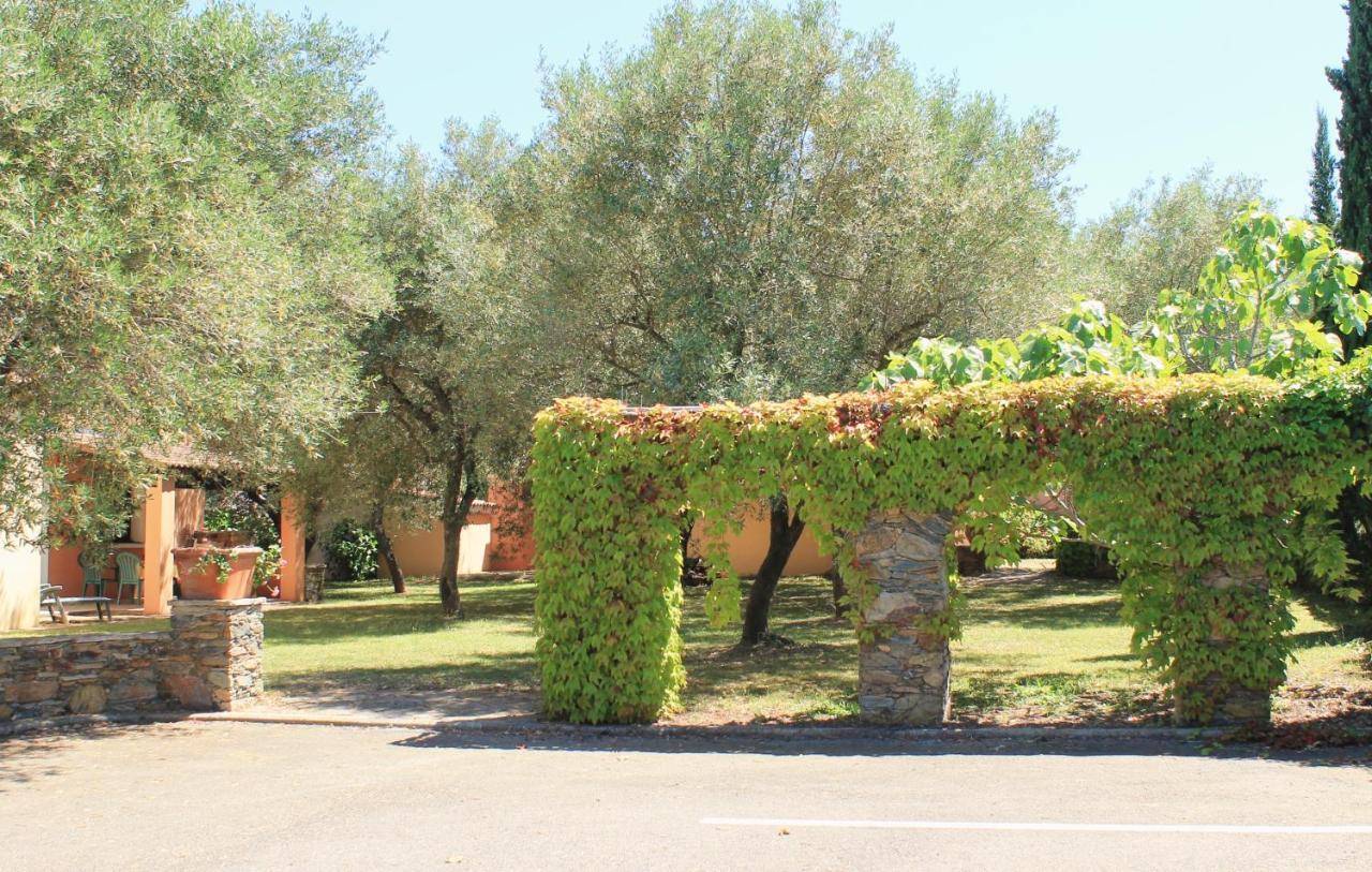 Sorbo-Ocagnano Domaine Le Clos Des Oliviers المظهر الخارجي الصورة