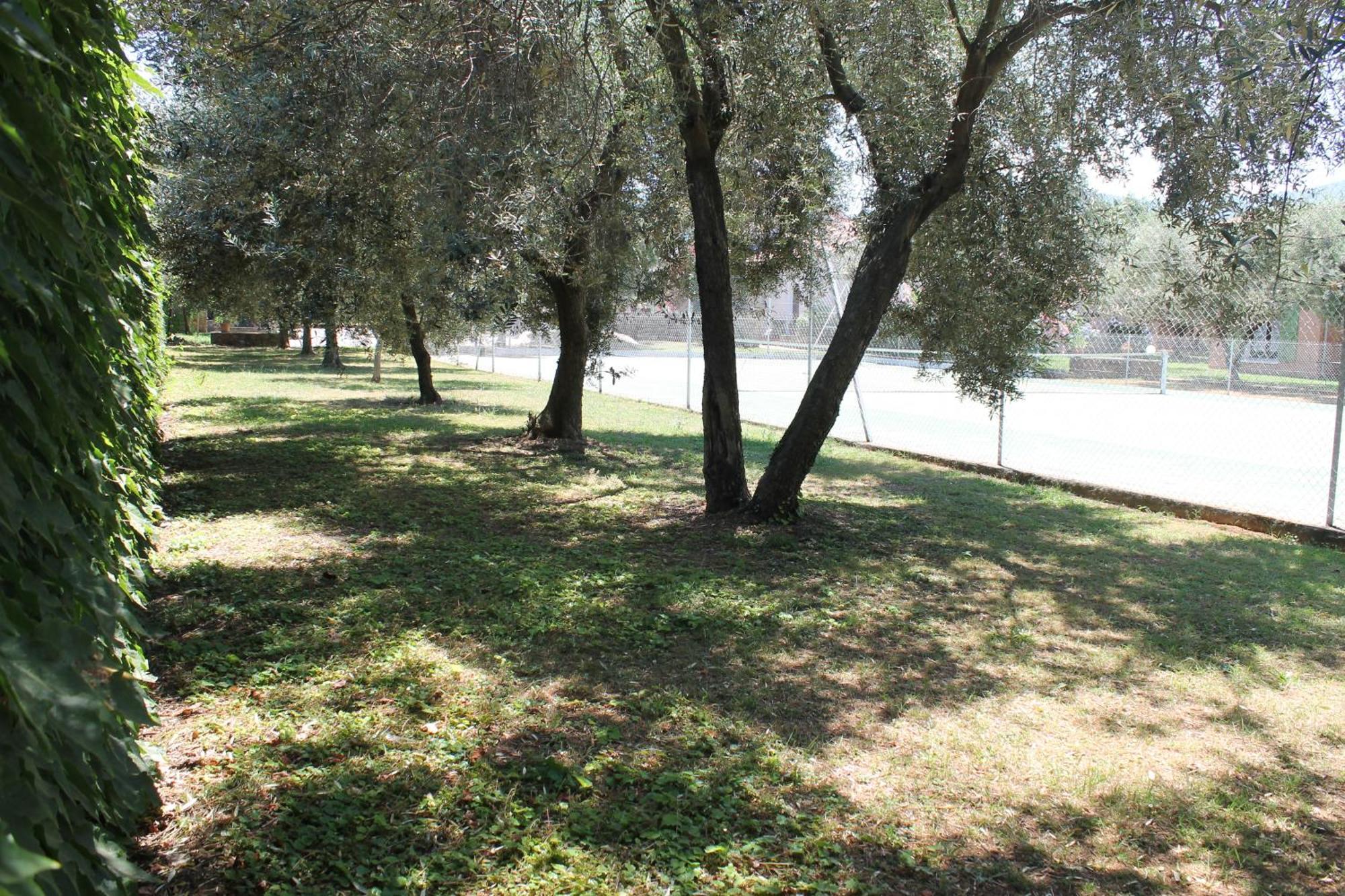 Sorbo-Ocagnano Domaine Le Clos Des Oliviers الغرفة الصورة
