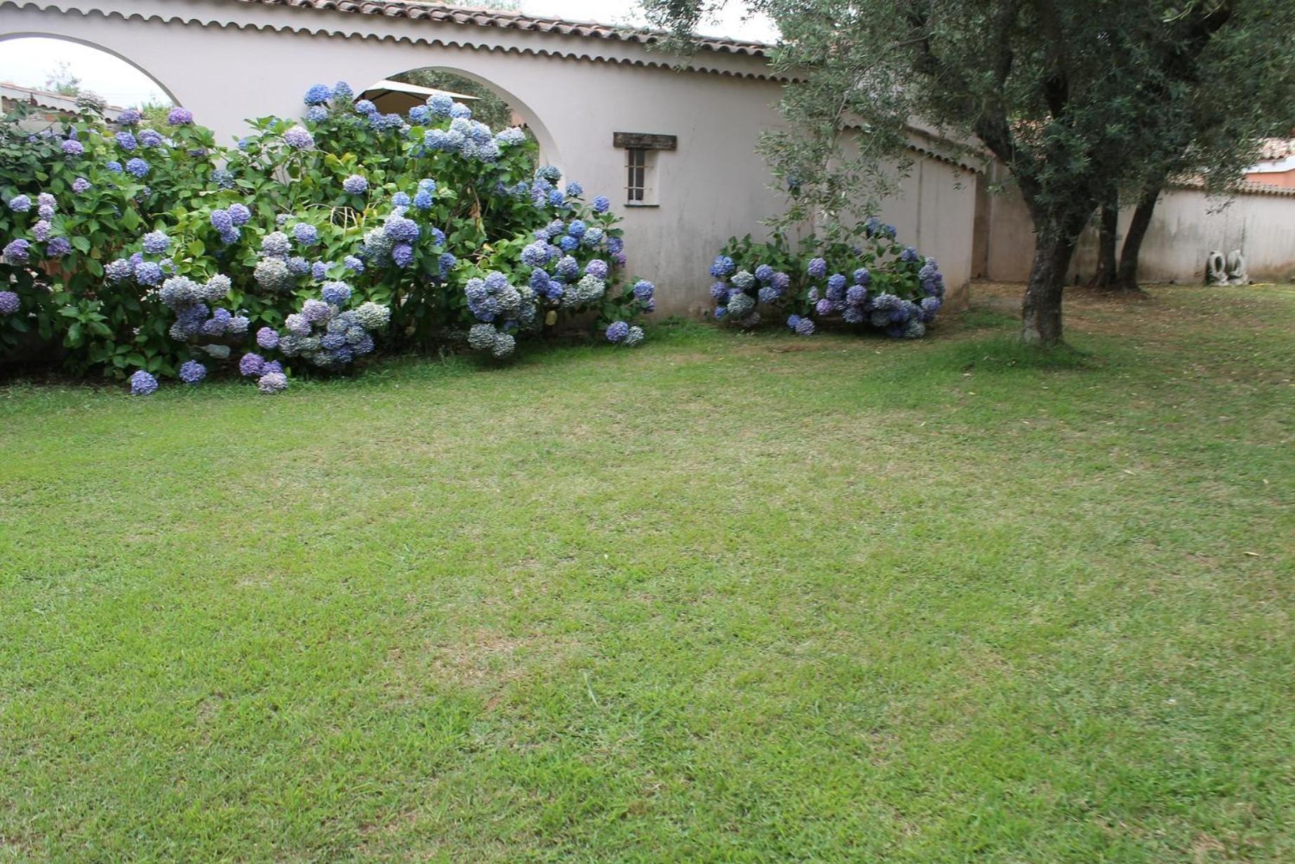 Sorbo-Ocagnano Domaine Le Clos Des Oliviers المظهر الخارجي الصورة