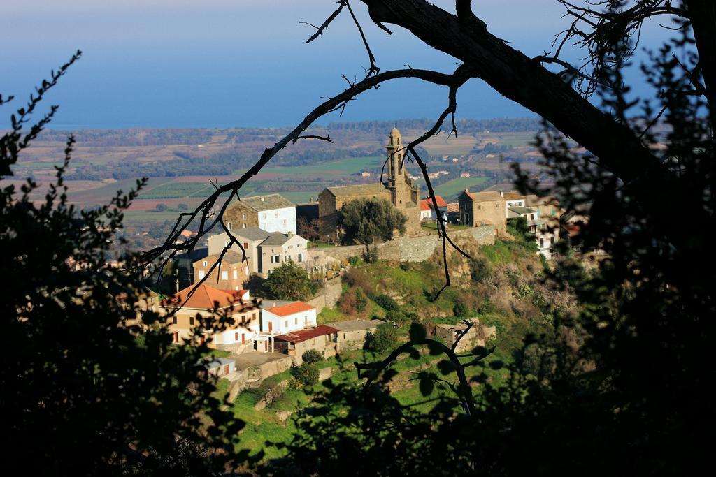 Sorbo-Ocagnano Domaine Le Clos Des Oliviers المظهر الخارجي الصورة