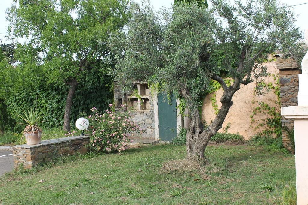 Sorbo-Ocagnano Domaine Le Clos Des Oliviers المظهر الخارجي الصورة